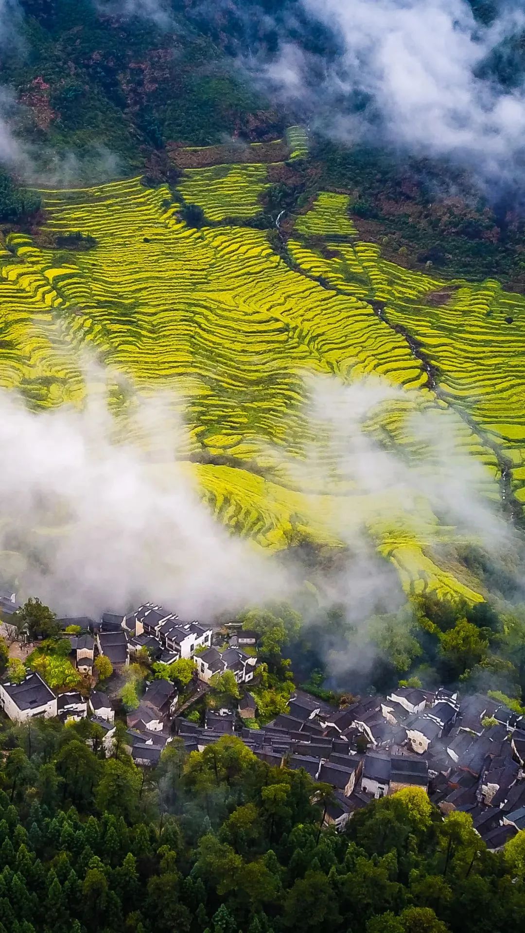 江西,家的故事与温馨日常