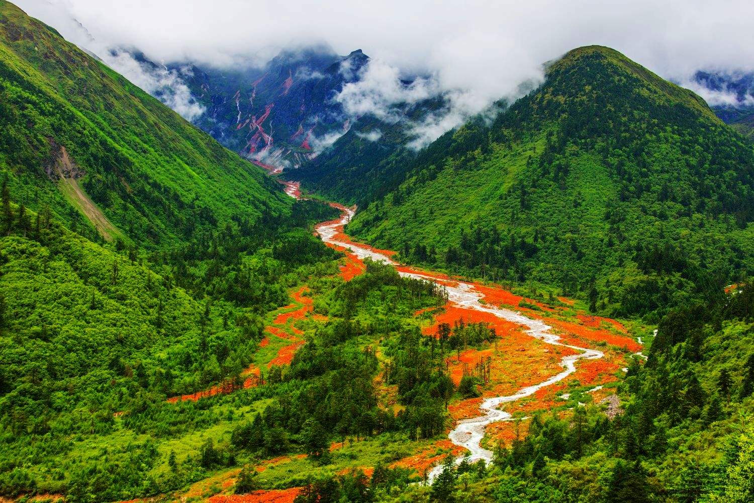 四川的魅力与风情