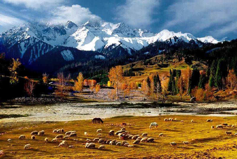 新疆,秘境之美与无限商机