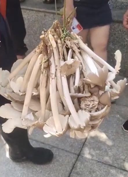 贵州,绿色发展探索与实践的贵州篇章