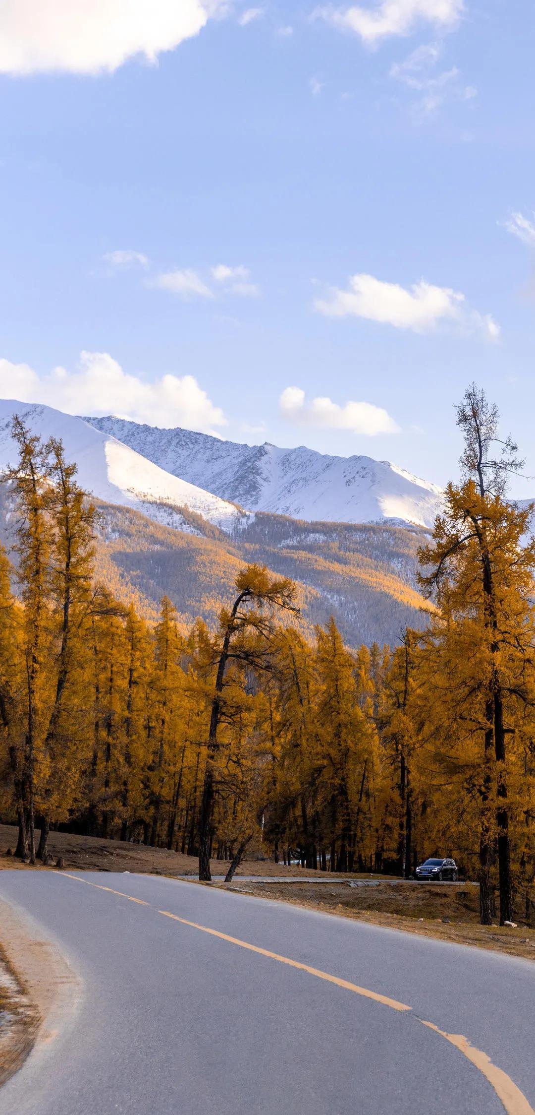 新疆,多元文化交融的璀璨明珠