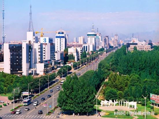 包头，探寻这座美丽城市的魅力