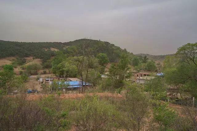 阜新市深度观察与评估报告