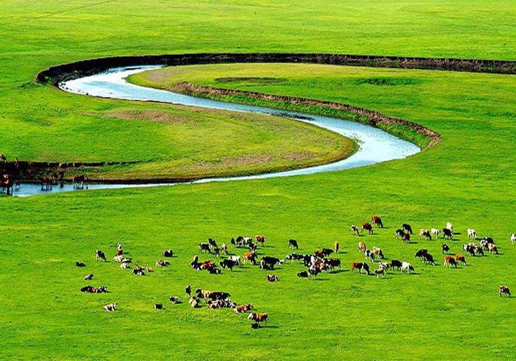 鄂尔多斯，高原智者的风华之旅